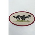 Free To Run Horse Embroidered Iron On Patch 4.25&quot; - £75.72 GBP