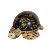 Native Peruvian Drift Wood Pyrograph Hand Carved Turtle Seed Rattler Rio... - $39.99