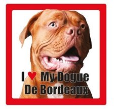I Love My Dog Ceramic Photographic Square Coaster with Breed Name (Dogue de Bord - £2.54 GBP