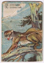 Cowan Co Toronto Animal Card # 12 Cougar Coupon Removed - $2.96