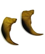4 LG 3 IN SYTHENTIC BLACK BEAR CLAW brown bears black wild animal claws ... - $14.15