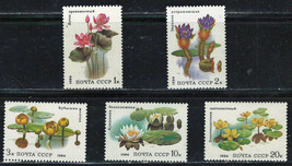 Russia Ussr Cccp 1984 Vf Mnh Stamps Set Scott # 5251-5255 Flowers - $1.64