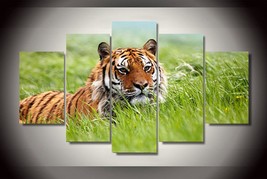 Large Framed Siberian Tiger in Grass Canvas Print Wall Art Home 5 Piece - $31.00+