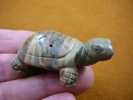 (Y-TUR-LAO-728) Gray striped TURTLE tortoise carving FIGURINE gemstone turtles - £14.01 GBP