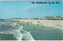 New Jersey Postcard Wildwoods By The Sea Crest Fishing Pier - £1.69 GBP