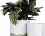 La Jolie Muse White Ceramic Flower Pot Garden Planters 6.7 5.4 Inch Indoor, - $43.93