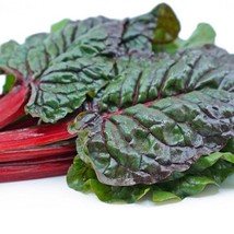 New Fresh Seeds Ruby Red Swiss Chard Seeds 200 Seeds - $13.58