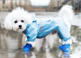 Dog Cat Blue Silicone Protective Waterproof 4Pcs Raining Boot Shoes Size Medium - £7.44 GBP