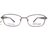 Eight to Eighty Eyeglasses Frames IRENE VIOLET Purple Silver Cat Eye 54-... - $27.83