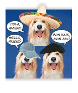 Hello Friend! - Hello Greeting Card - 00789 - $2.79