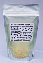 125+ Live Daphnia Magna Freshwater Fleas Tank Raise Cultures live Fish foods - £15.93 GBP
