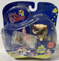 Littlest Pet Shop # 623 Messiest Brown Pug Dog Real Feel 2007 LPS New on Card - £31.14 GBP