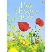 How Flowers Grow (Usborne Beginners) Emma Helbrough - $8.00