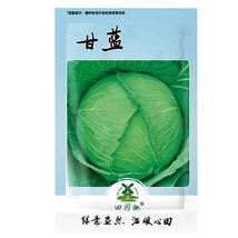 US Seller 400Pcs Cabbage Seeds Cabbage Wraps Fresh Seed Fast Shipping - $13.45