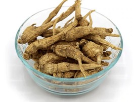 2021 ginseng- 100% Pure Wisconsin American Ginseng Dry Root (1.08 pound) - £31.64 GBP