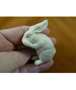 bun-w8 lil white Bunny Rabbit hare of shed ANTLER figurine Bali detailed... - $107.99