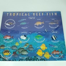 Pogs Tropical Reef Fish Custom Caps Sealed On Card NEW - £15.81 GBP