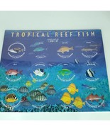 Pogs Tropical Reef Fish Custom Caps Sealed On Card NEW - £15.50 GBP