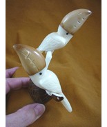 TNE-BIR-TO-13A) pair of Toucan tropical bird TAGUA NUT figure palm carvi... - $823.65 MXN
