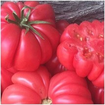 PS 15 Mushroom Basket Heirloom Tomato Seeds Non-Gmo Indeterminate Huge 3... - $166.68 MXN