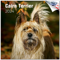 Cairn Terrier Wall Calendar 2024 DOG Animal PET Lover Gift - £19.77 GBP