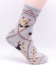 Norwich Terrier Dog Breed Novelty Socks - £10.82 GBP