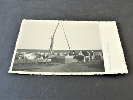 Hungarian Steppe Female Cattle graze in the field- Unposted 1970s Kodak (RPPC). - $7.50