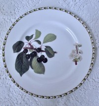 Rosina Queen&#39;s Bone China Hookers Fruit Salad Plate Cherry Royal Horticu... - £8.78 GBP