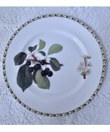 Rosina Queen&#39;s Bone China Hookers Fruit Salad Plate Cherry Royal Horticu... - $10.99