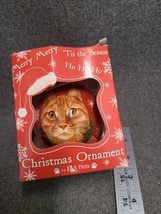 VINTAGE Christmas Ornament ORANGE TABBY SHATTERPROOF NIB - $5.69