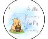 30 CLASSIC WIINNE THE POOH BABY SHOWER STICKERS LABELS TAGS ENVELOPE SEA... - $1.99