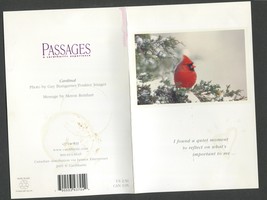 5 Cardinal Themed Christmas Cards with Envelope - $3.50