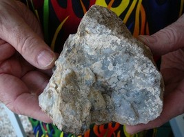 (DF842-82) 1 lb Fossil REAL DINOSAUR POOP Coprolite Dino Utah DUNG Poo Scat - $1,032.21 MXN