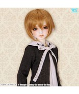 BJD 1/3 Volks Super Dollfie SD DD Short Layered Sides Wig W-141D 16T Cre... - $35.75