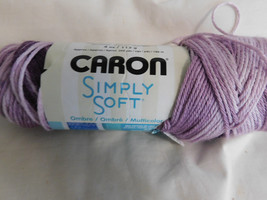 Caron Simply Soft Ombre Grape Purple dye Lot K2202 (RC) - £3.13 GBP