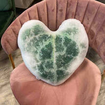 Variegated String of Hearts pillow / variegated ceropegia / ceropegia woodii - £27.42 GBP