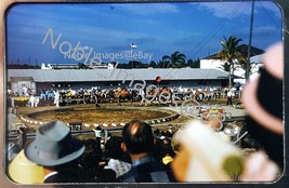 1950s Sarasota Ringling Circus Hall of Fame Clowns Camel People Kodachrome Slide - £2.72 GBP