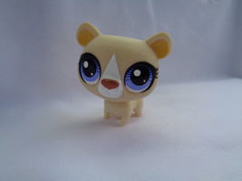 Littlest Pet Shop Limited Edition Collector&#39;s Tan / Cream Pet Purple Eyes - £2.34 GBP