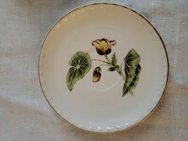 Crooksville La Grande Delmar Begonia Saucer Gold Vintage 1940s 1950s - £6.22 GBP