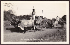 Panama Natives Driving Ox Carts in the Country&#39;s Interior RPPC 1930s - £11.72 GBP