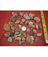 (k-4024) 100 g Rare Kauri tree Gum chips copal Amber New Zealand Tane Ma... - $757.13 MXN
