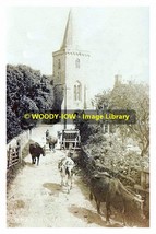 rp13356 - Cattle in lane near Brading Church , Isle of Wight - print 6x4 - $3.00