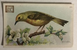 Yellow Warbler Victorian Trade Card Arm And Hammer VTC 5 - £3.54 GBP
