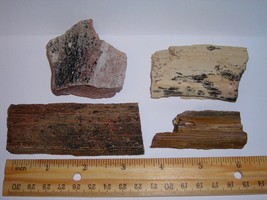 Petrified Wood Lot--100% All Natural--4 Pieces From The Western US - £7.81 GBP