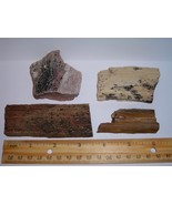 Petrified Wood Lot--100% All Natural--4 Pieces From The Western US - $189.87 MXN