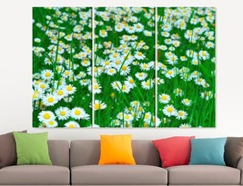 Daisy Flowers Field Canvas Print Home Wall Art Green Decor Gift For Wife Girlfri - £39.16 GBP