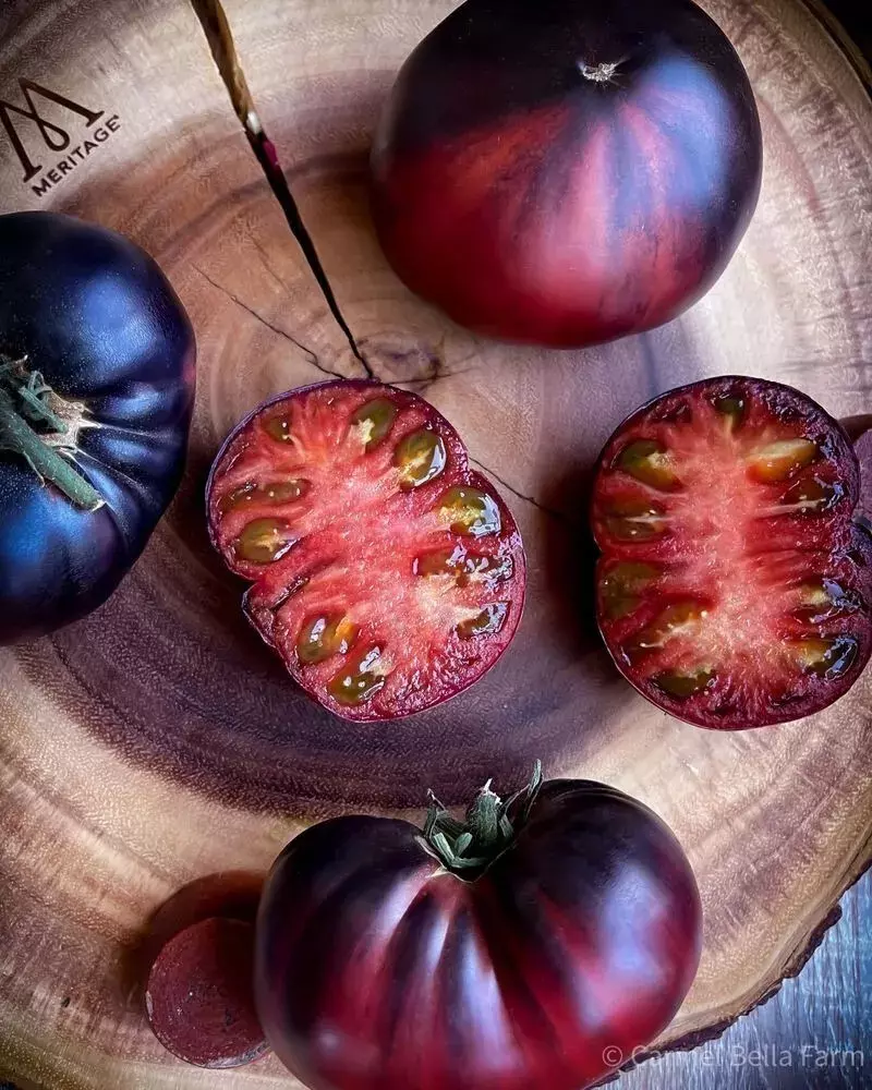 SKMO Black Beauty Tomato Heirloom Non Gmo 120 Seeds Bulk Indoor Gardening  - £7.30 GBP