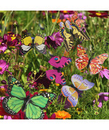 50Pcs Butterfly Stakes Outdoor Yard Planter Flower Pot Bed Garden Decor ... - €20,83 EUR