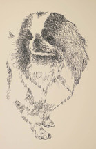 Japanese Chin Dog Art Portrait Print #28 Kline adds dog name free. WORD DRAWING - £39.65 GBP