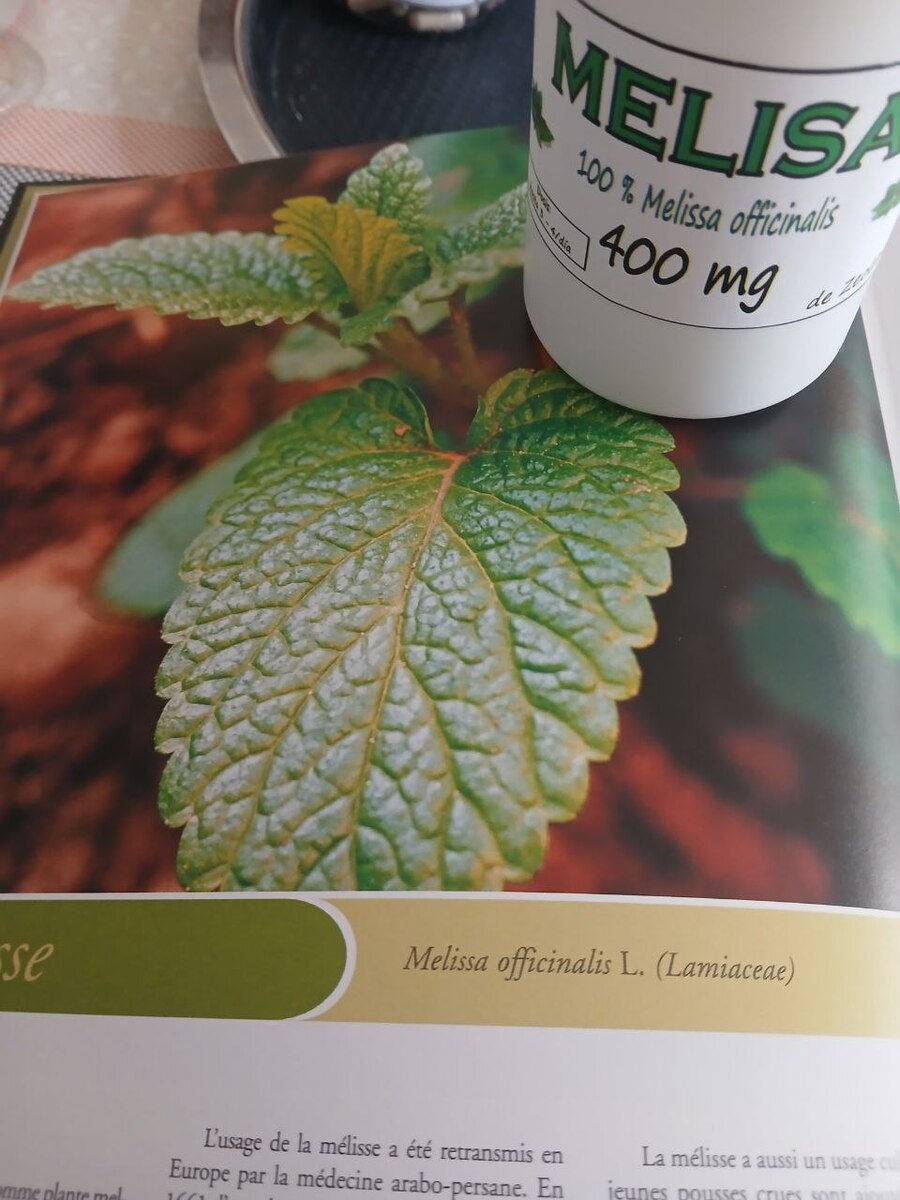 10 Bottles, Lemon Balm Capsules 400mg: Vegan Herbal Supplement, Relaxation - 120 Item image 12